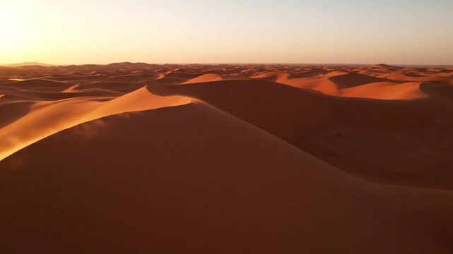 Footage of Desert Dunes