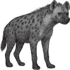 Halftone Hyena Illustration in Black and White