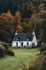 Fototapeta premium White house stands in a green yard surrounded by colorful trees in autumn near a forest in the countryside during a cloudy day