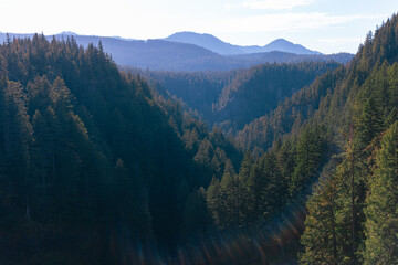 Beautiful green forest valley in rugged mountain landscape, dense forest in wilderness area, vast land from high point of view