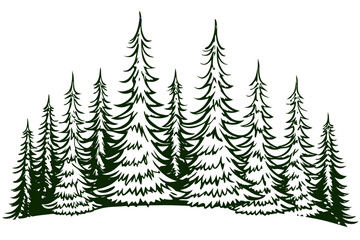 Obraz premium Black and white woodcut style illustration of a dense cluster of evergreen pine fir trees standing tall on a snowy or grassy mound, isolated on