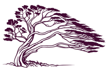 Stylized illustration of a windswept pine tree bent dramatically to the right, isolated on