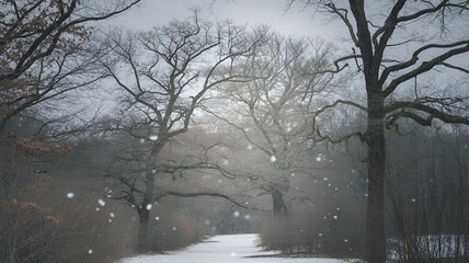 Fototapeta premium A serene winter landscape featuring a snow-covered path and bare trees.