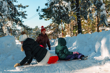 Mother and children are having fun sledding down a snowy hill in a beautiful winter landscape, surrounded by snow-covered trees, enjoying quality time together on a sunny winter day
