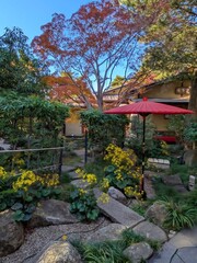 聚楽園、嚶成庵の庭の風景