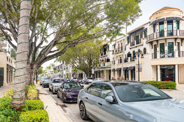 Scenic outdoor view of a high-end commercial avenue in Southwest Florida, featuring palm-lined streets under a cloudy but bright sky.