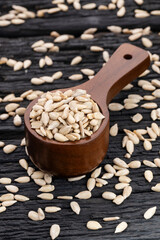 Helianthus annuus - Hulled sunflower seeds in a measuring spoon