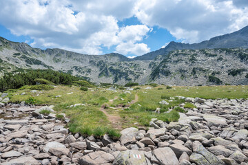Fototapeta premium Pirin Mountain near Banderitsa Area, Bulgaria
