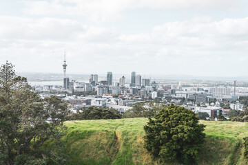 Fototapeta premium aerial view of Auckland