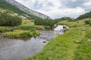 Pirin Mountain near Banderitsa Area, Bulgaria