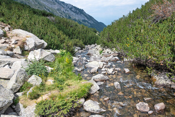 Pirin Mountain near Banderitsa Area, Bulgaria