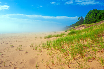 Fog on Grassy Dunes on a Lake Shore