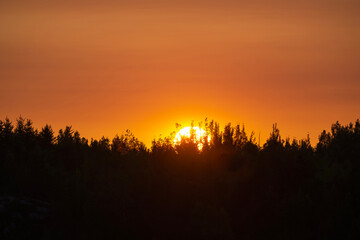Sun Dipping Below the Trees in an Orange Sky