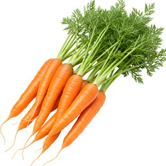 A bunch of fresh, vibrant orange carrots with green leafy tops, isolated on a white background.