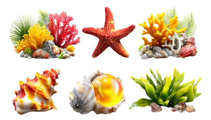 Vibrant Underwater Coral Garden with Colorful Starfish and Shells Isolated on Background
