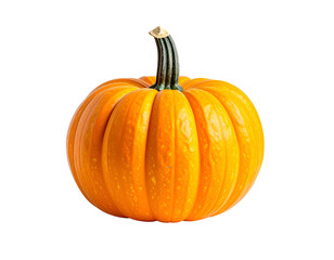 Single round orange ribbed gourd with a striped green stem