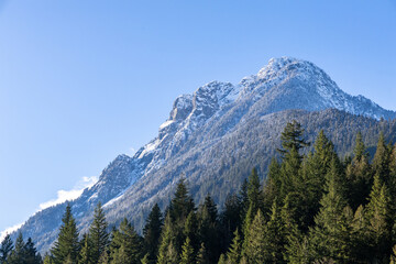 Fototapeta premium Snowy Mountain Peak Rises Over Dense Forest Under Clear Blue Sky in British Columbia, Canada