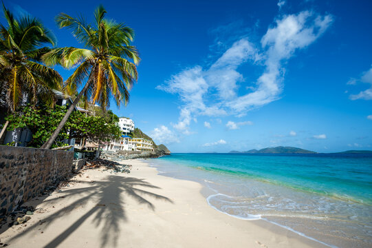 Palm-lined and shaded white sands of Little Apple Bay beach on Tortola in the British Virgin Islands