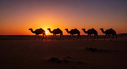 Camels silhouetted against a desert sunset.