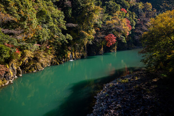 Autumn Colors Along the Emerald River in Okuizumi