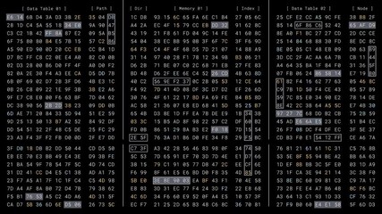 Computer binary matrix memory code encryption process in high security cloud server, cybersecurity data information programming technology software, digital hex number UI display interface monitor - Powered by Adobe