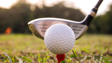 Golf Club Ready to Strike a White Golf Ball on a Teeing Ground