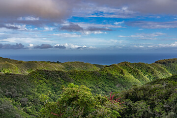 Obraz premium The Pacific Ocean is in the distance. Mauʻumae Ridge Trail (Puʻu Lanipō), Oahu, Hawaii. Koʻolau Range, shield volcano. On the right is Waʻahila Ridge 