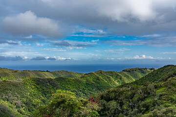 Obraz premium The Pacific Ocean is in the distance. Mauʻumae Ridge Trail (Puʻu Lanipō), Oahu, Hawaii. Koʻolau Range, shield volcano. On the right is Waʻahila Ridge 