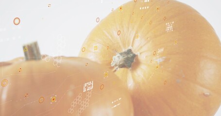 Fototapeta premium Displaying large orange pumpkin with stem in studio, showing second pumpkin and hexagon overlays