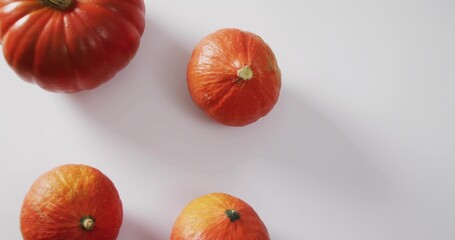 Sitting four orange pumpkins casting long soft shadows on white tabletop, stems, ridges showing © vectorfusionart