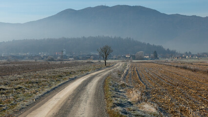Rural winter misty European sunrise landscape with frosty trees, field and mountains