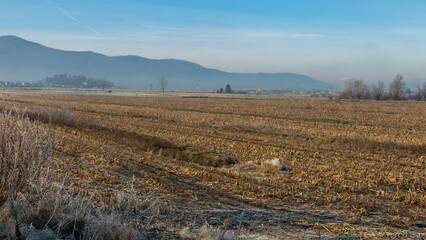 Rural winter misty European sunrise landscape with frosty trees, field and mountains