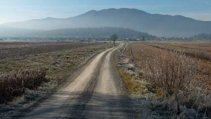 Rural winter misty European sunrise landscape with frosty trees, field and mountains
