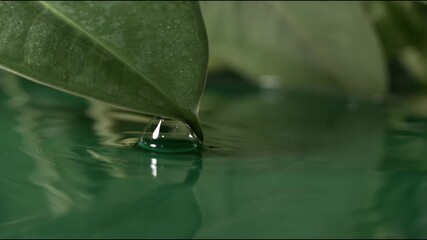 Close-up view of water droplet resting on a green leaf above rippling water surface in a peaceful setting - Powered by Adobe