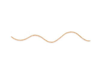 Abstract wavy brown textured line isolated on a transparent background