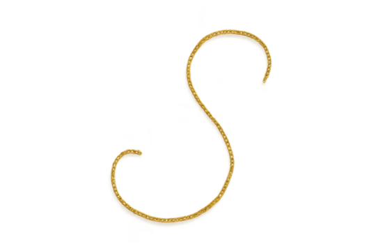 Luxurious ornate golden cursive letter S, isolated on transparent background