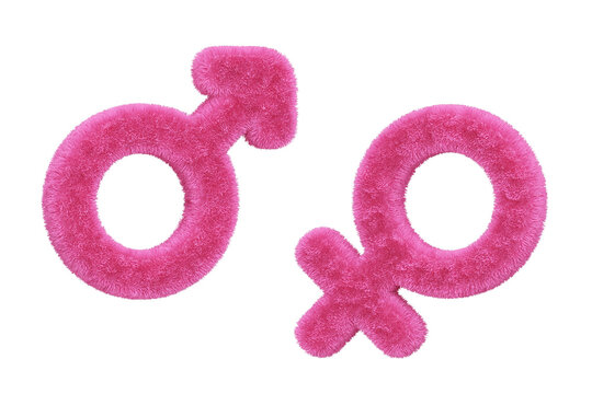 Pink fluffy pillow Gender symbol love female male valentine romantic sleep couple sexual intercourse sensual erotic. fur made fabric or yarn. Object PNG file. cotton or velvet. 3D Illustration.