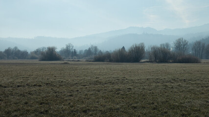 Rural winter misty European sunrise landscape with frosty trees, field and mountains