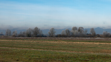 Obraz premium Rural winter misty European sunrise landscape with frosty trees, field and mountains