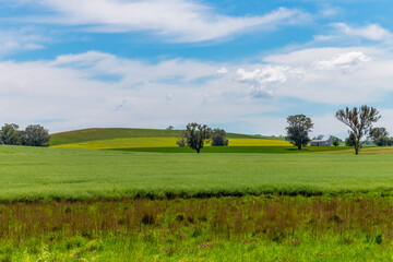 Fields and pastures around the Cowra region in Spring © Merrillie