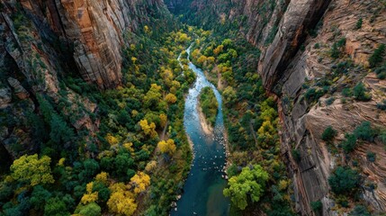 Aerial view of winding river surrounded by vibrant autumn trees in a breathtaking canyon landscape under clear blue sky