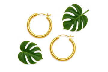 Gold hoop earrings and Monstera leaves isolated on transparent background