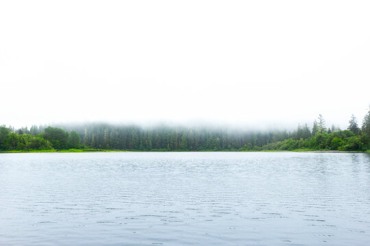 Nature scene at the misty rainforest lake in the summer morning.