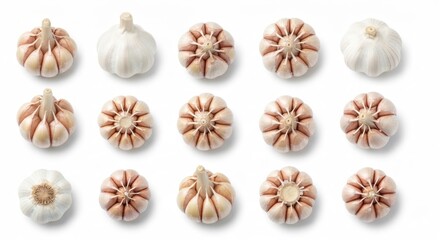 Rows of garlic bulbs and cross sections on plain white background