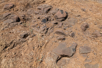 (Tcvb) Basaltic flows and breccias. Malibu Creek State Park, Santa Monica Mountains National Recreation Area. Los Angeles County, California. Basalt