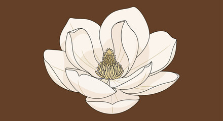 Magnolia illustration on brown background
