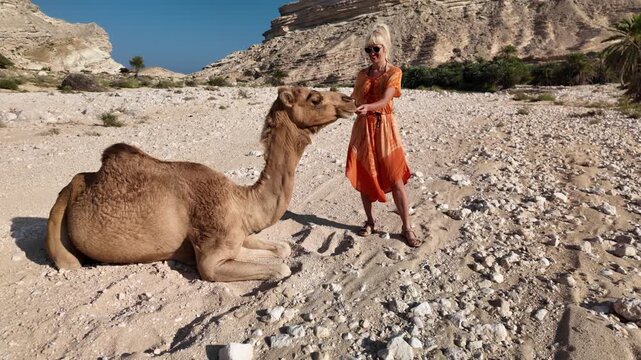 Woman in orange dress gently interacting with a resting camel on a rocky desert floor, experiencing nature and wildlife in the beautiful Wadi Sinaq natural park in Oman