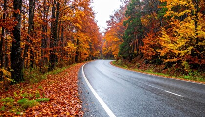 Naklejka premium Autumn Road Landscape.