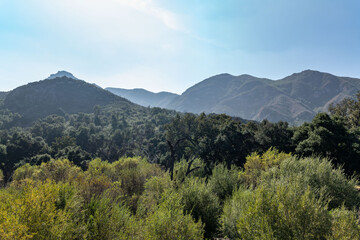 Malibu Creek State Park, Santa Monica Mountains National Recreation Area. Los Angeles County, California
