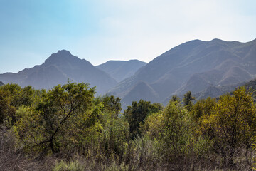 Malibu Creek State Park, Santa Monica Mountains National Recreation Area. Los Angeles County, California
